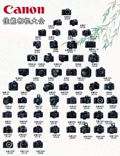 数码相机与光学相机:你真的知道它们的区别吗?