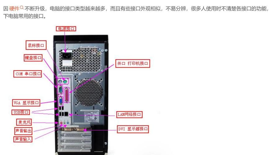 电脑主机后边有两个可以插显示器的插口是哪两个?