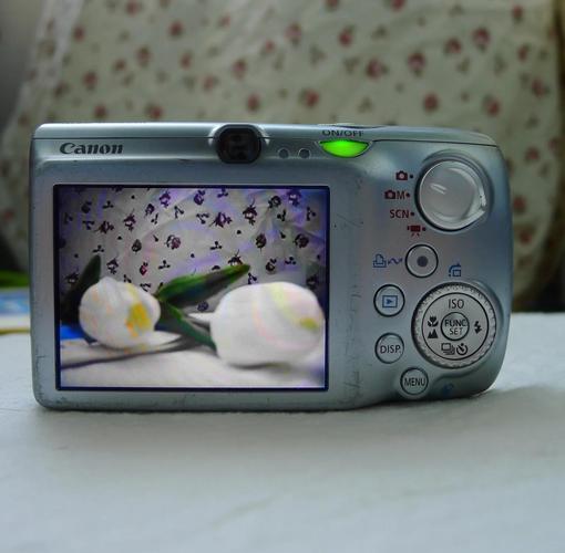 佳能ixus980is:轻奢摄影的良选