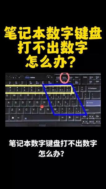 如何解锁笔记本电脑数字键盘?