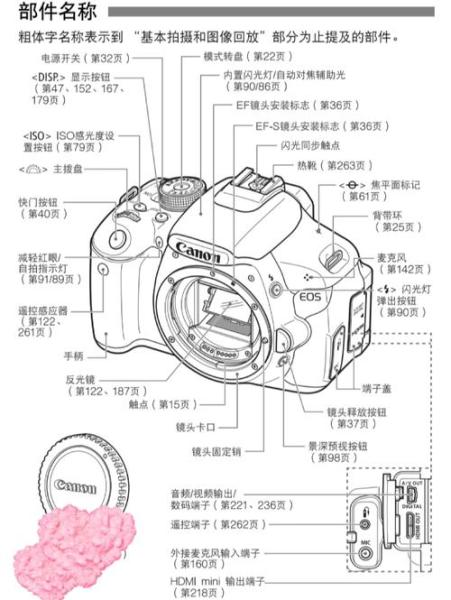 佳能相机怎么拍视频?