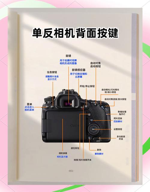 佳能单反相机摄影入门教程
