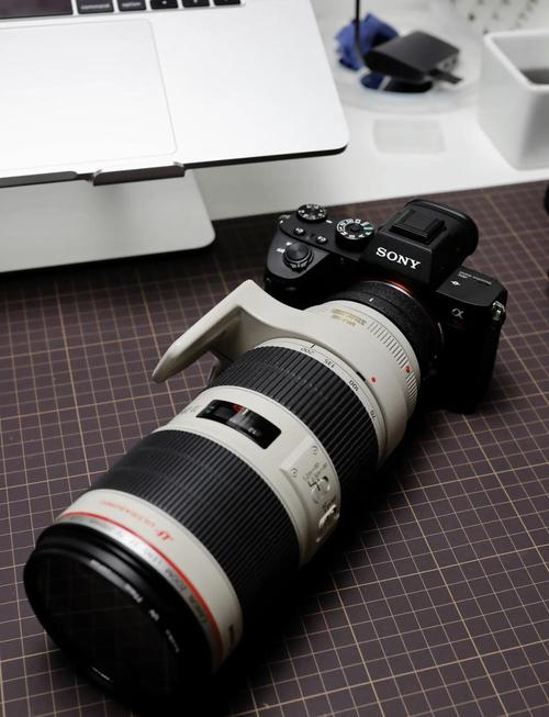 5d3镜头是什么卡口转SonyA7