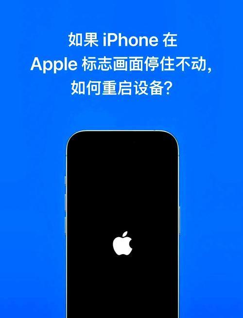 苹果6s手机突然黑屏开不了机怎么办