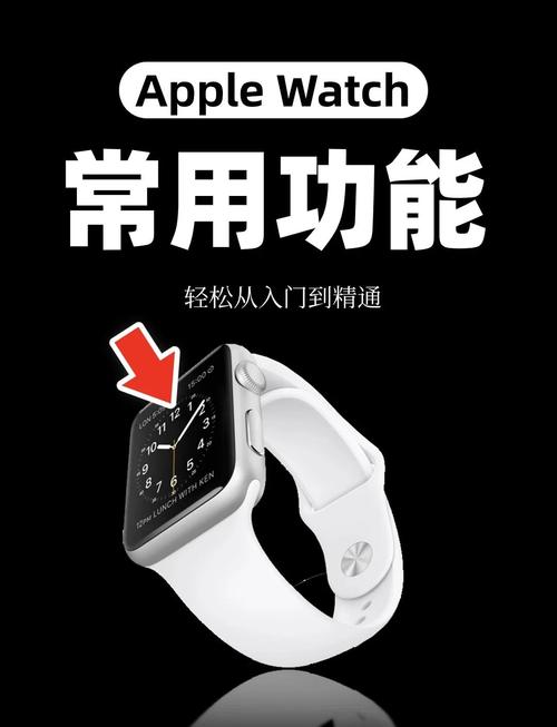 手表按键功能介绍(苹果手表按键功能介绍)