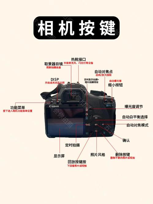 怎样使用佳能500D使用技巧指南