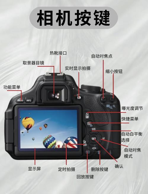 佳能500d为什么我的相机拍出来像是起雾了一样