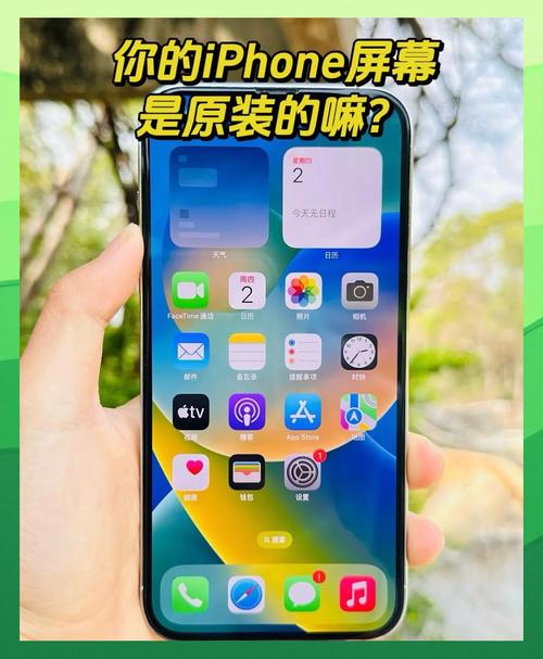 苹果13为啥是瞎眼屏