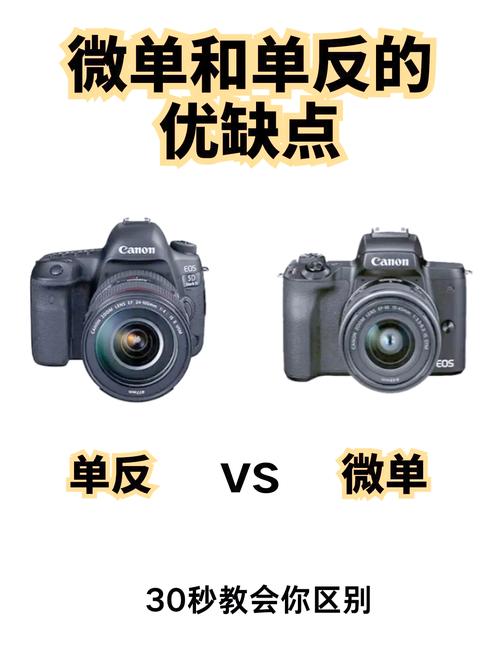 买微单相机还是入门的单反相机好呢?
