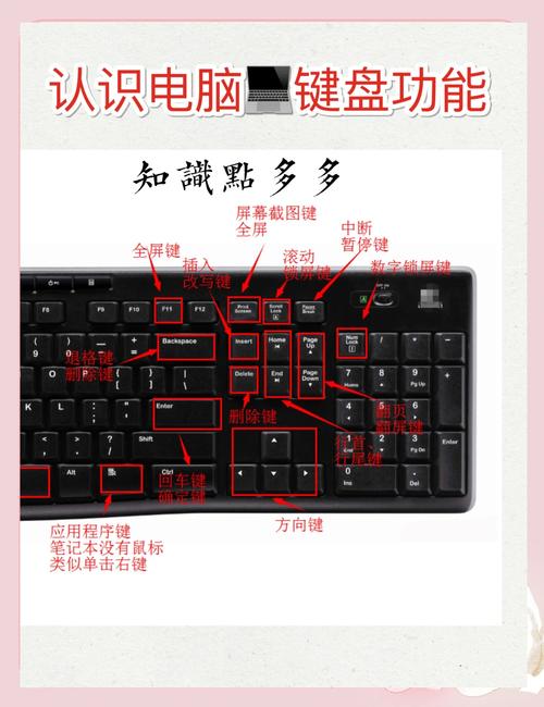 笔记本电脑上面的快捷键怎么用不了?