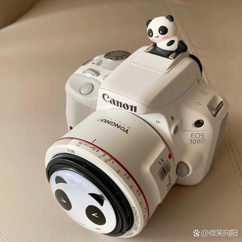 佳能350d套机的性能怎么样?