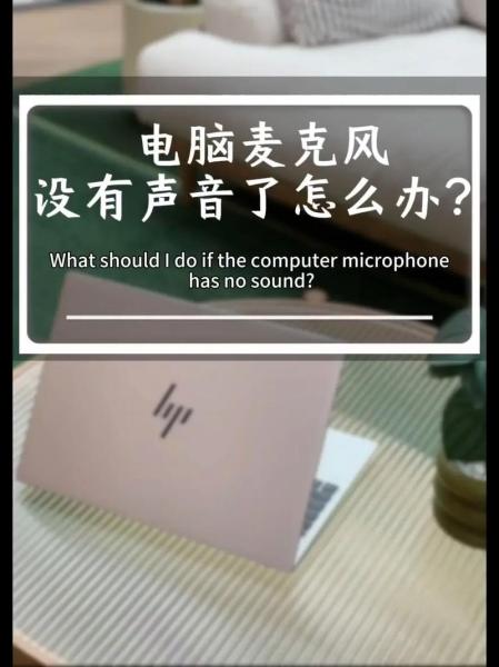 电脑麦克风开启了为什么没有声音