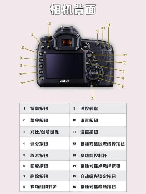 佳能5d和6d的区别