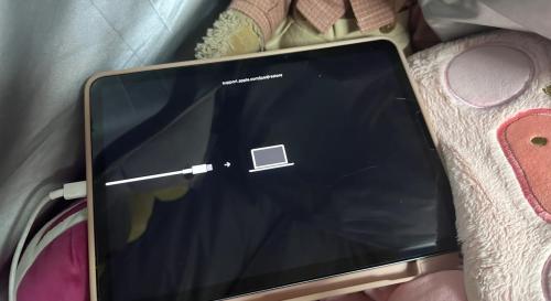 ipad开不了机充电也没反应怎么办?