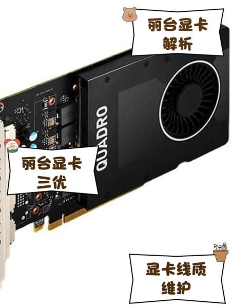 丽台p2200