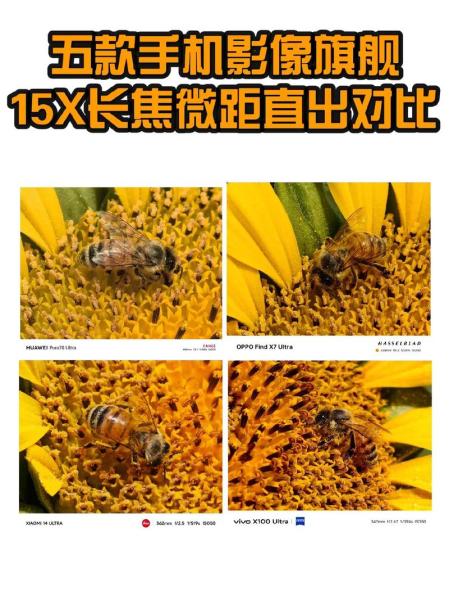 主摄,长焦,广角,微距的区别