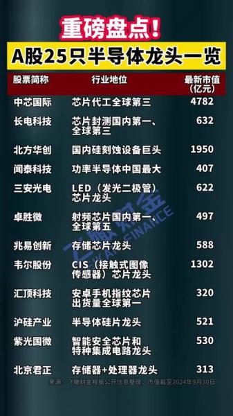 国内芯片龙头股排名前十