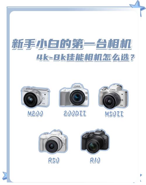 有哪些性价比高的相机适合观鸟时拍摄鸟类?