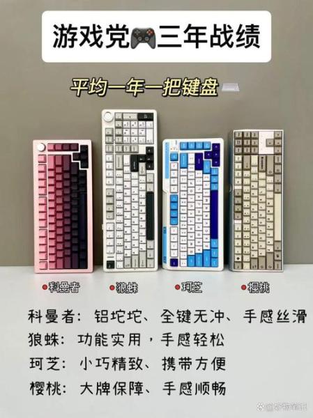 Cherry(樱桃)和罗技和雷柏那个品牌鼠标耳机键盘更好?