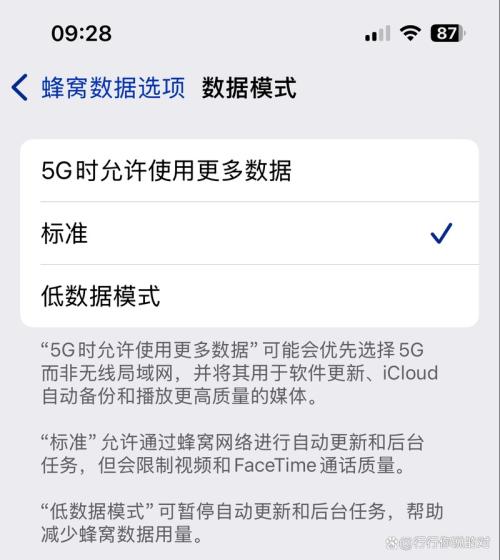 苹果11怎么设置5g网络